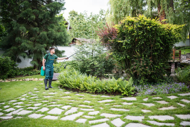 Best Best Pest Control Companies  in Buford, GA