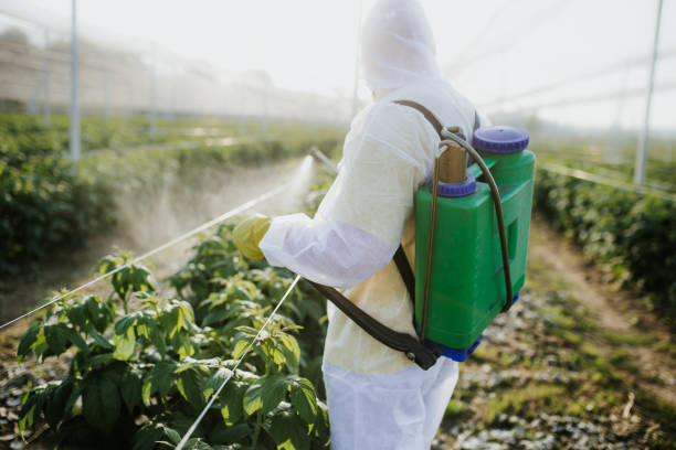 Best Local Pest Control Services  in Buford, GA